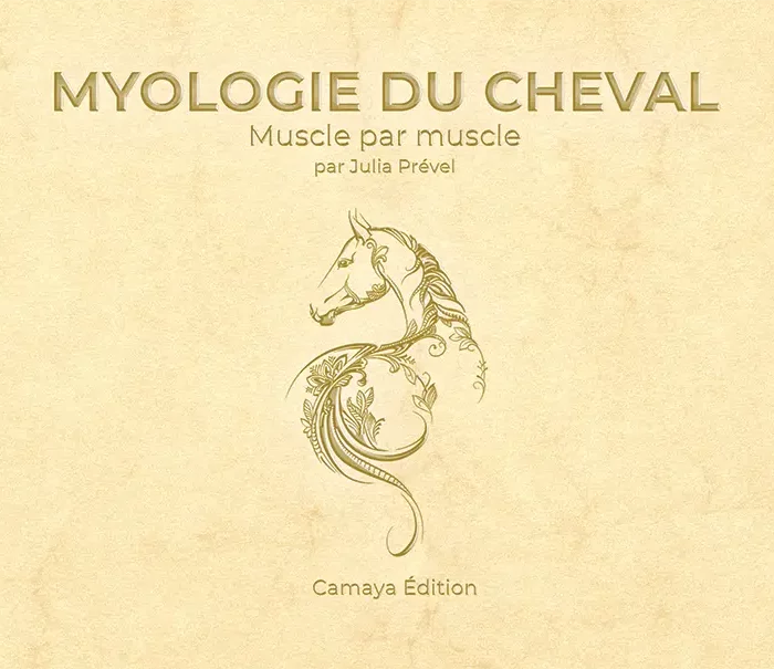 Myologie du cheval, muscle par muscle : un livre de Julia Prével