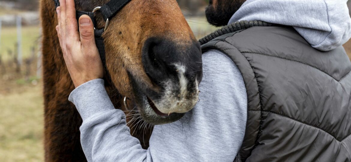 gros-plan-homme-tenue-cheval