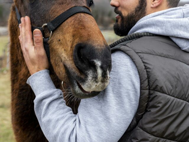 gros-plan-homme-tenue-cheval