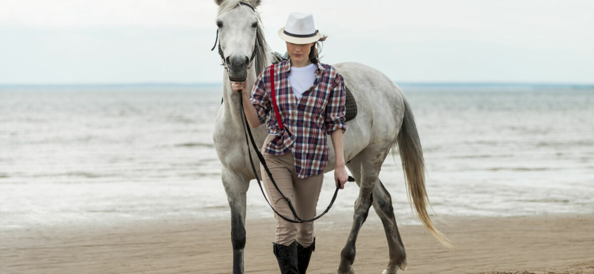 protéger son cheval des insectes