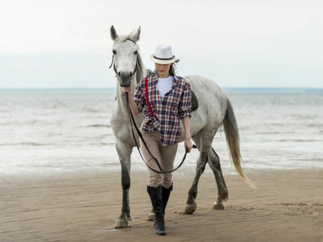 protéger son cheval des insectes