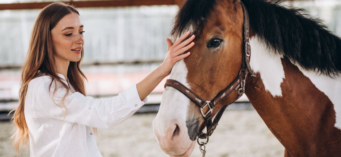 stretching horse