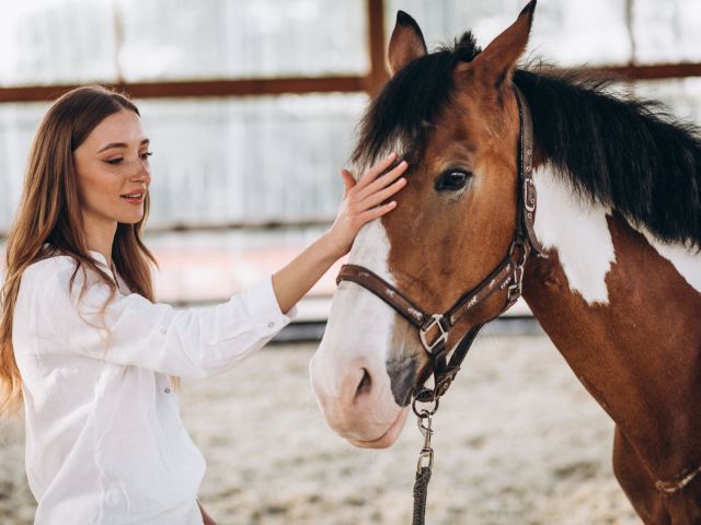 stretching horse