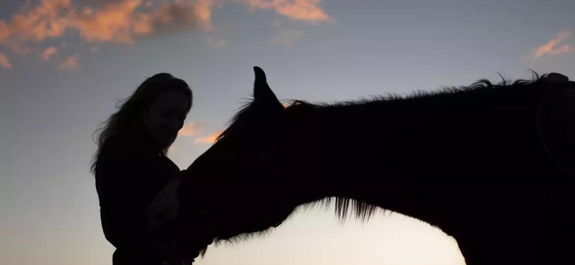 anxious horse