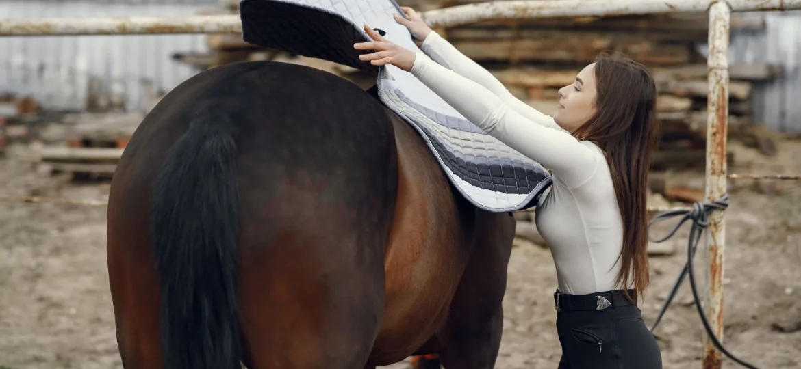 equine thermotherapy