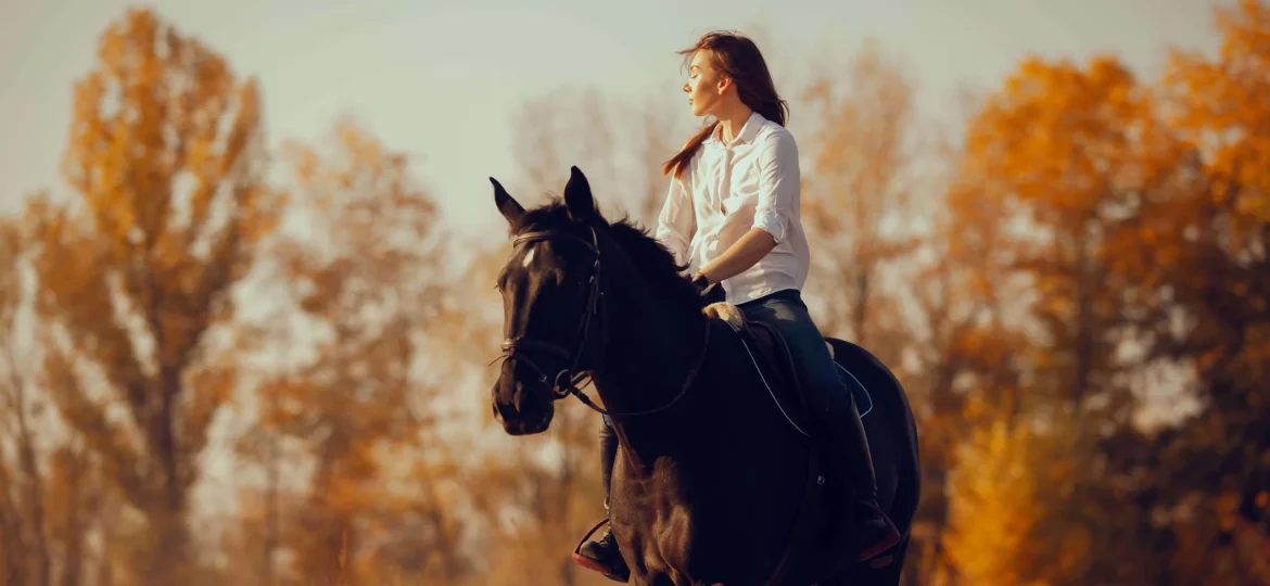 trust horse