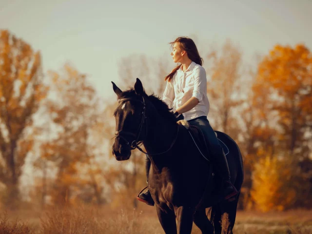 trust horse