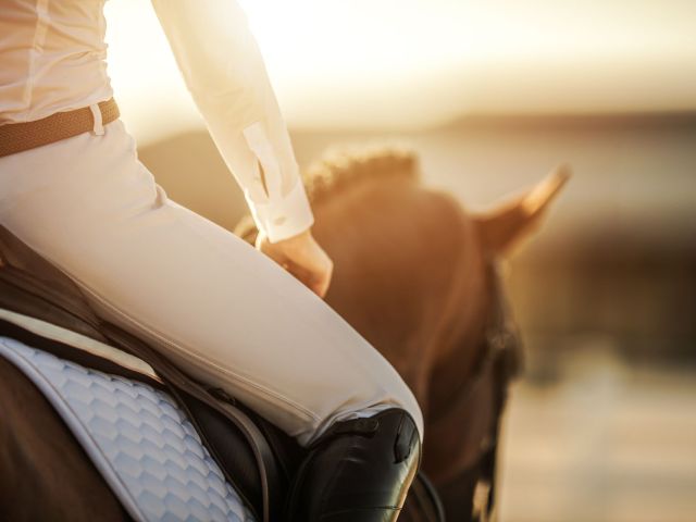 horse care kit