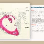 Myology of the horse, muscle by muscle: a book by Julia Prével