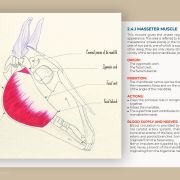 Myology of the horse, muscle by muscle: a book by Julia Prével
