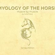 Myology of the horse, muscle by muscle: a book by Julia Prével