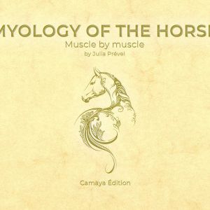 Myology of the horse, muscle by muscle: a book by Julia Prével