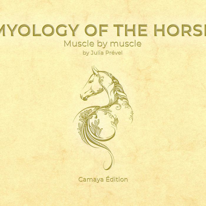 Myology of the horse, muscle by muscle: a book by Julia Prével