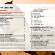 Myology of the horse, muscle by muscle: a book by Julia Prével