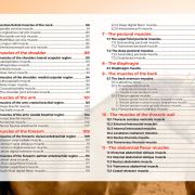 Myology of the horse, muscle by muscle: a book by Julia Prével